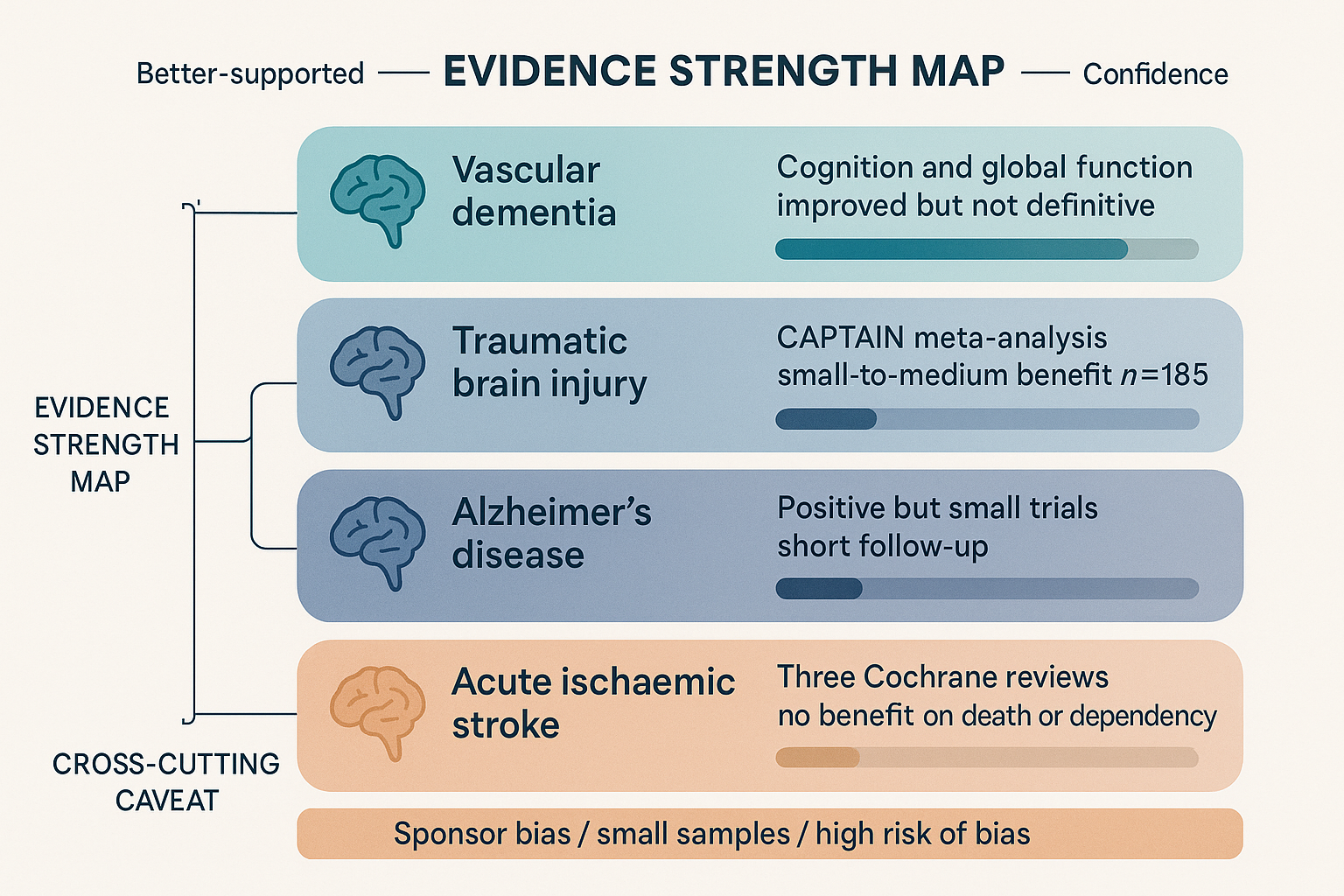 Flat vector evidence-strength map with four indication panels — vascular dementia, traumatic brain injury, Alzheimer's, acute ischaemic stroke — arranged from better-supported to null, each with a confidence bar, plus a banner flagging sponsor bias and small sample sizes