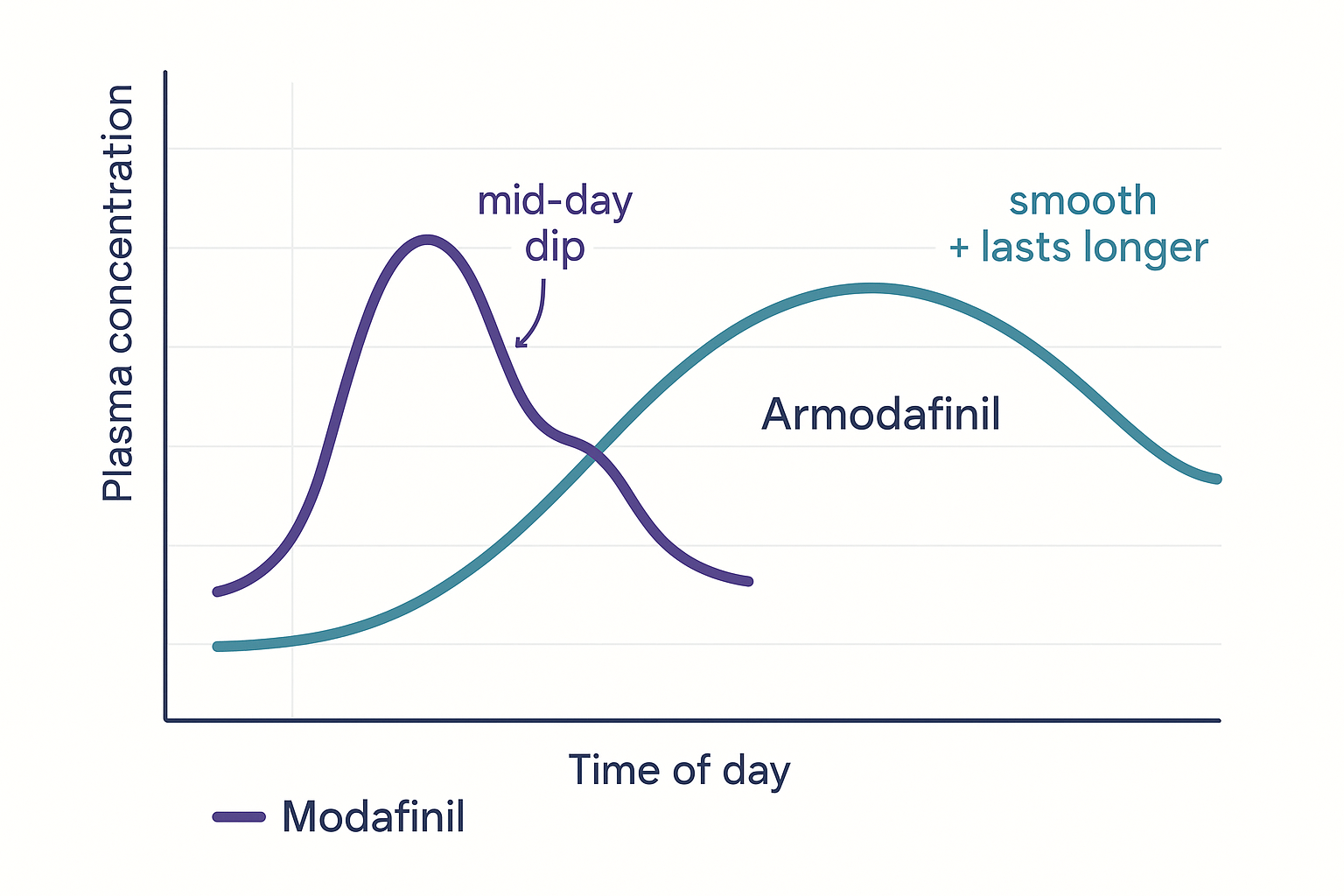 A line graph of plasma concentration over the day: modafinil (racemic) peaks then dips mid-day as its short-lived S-enantiomer clears, while armodafinil (pure R-enantiomer) is a single smooth hump that stays higher into the evening