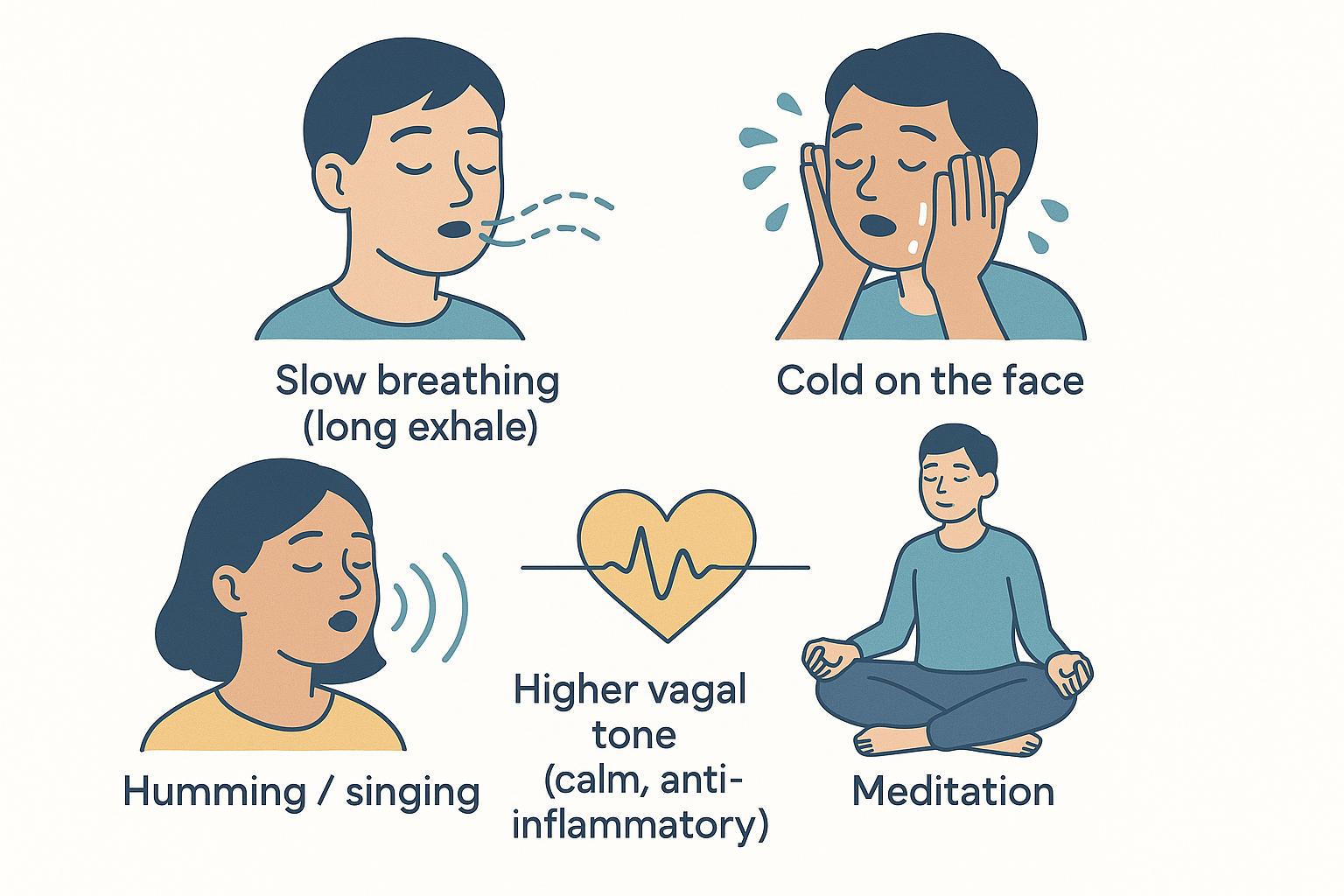 Four practical ways to raise vagal tone: slow breathing with a long exhale, cold water on the face, humming or singing, and meditation — all converging on higher vagal tone for a calm, anti-inflammatory state