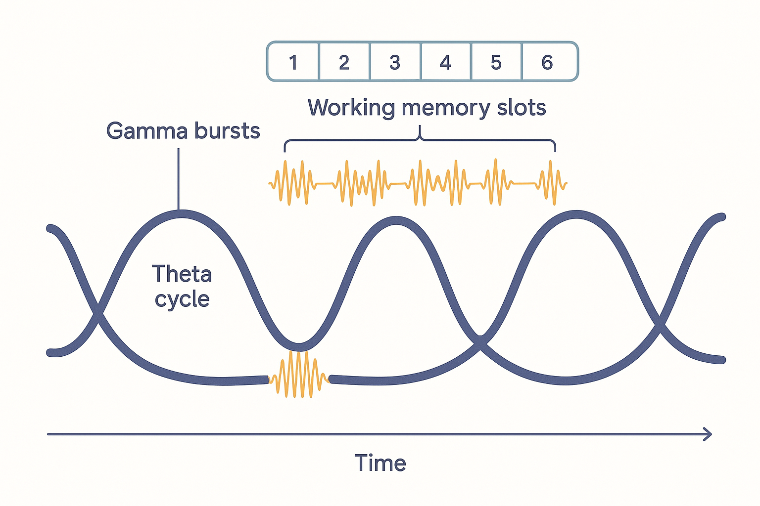 A single slow theta sine wave drawn left to right, with short high-frequency gamma bursts riding on the rising-to-peak portion of each theta cycle, and small numbered slots marking successive gamma cycles within one theta period