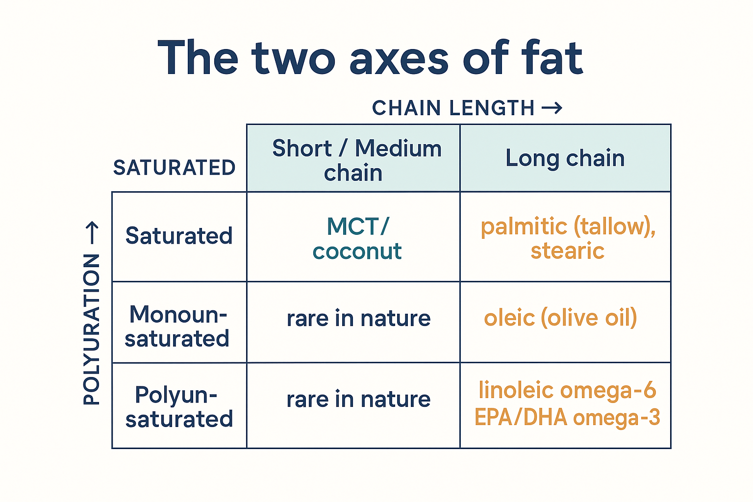A grid mapping fats on two axes: chain length (short/medium vs long) across the top and saturation (saturated, monounsaturated, polyunsaturated) down the side, with example fats in each cell