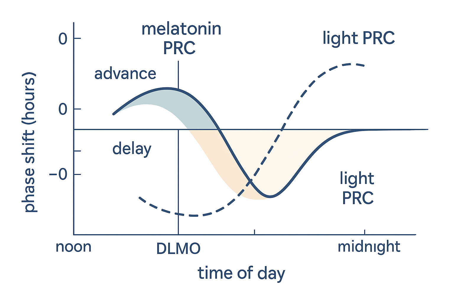 A two-curve line graph plotting circadian phase shift in hours on the vertical axis against time of day across a 24-hour horizontal axis, showing the melatonin phase-response curve (advance region in the afternoon and evening, delay region in the morning) overlaid against the light phase-response curve drawn as its near-mirror image roughly twelve hours out of phase, with a marked zero-crossing and the body's own melatonin onset indicated