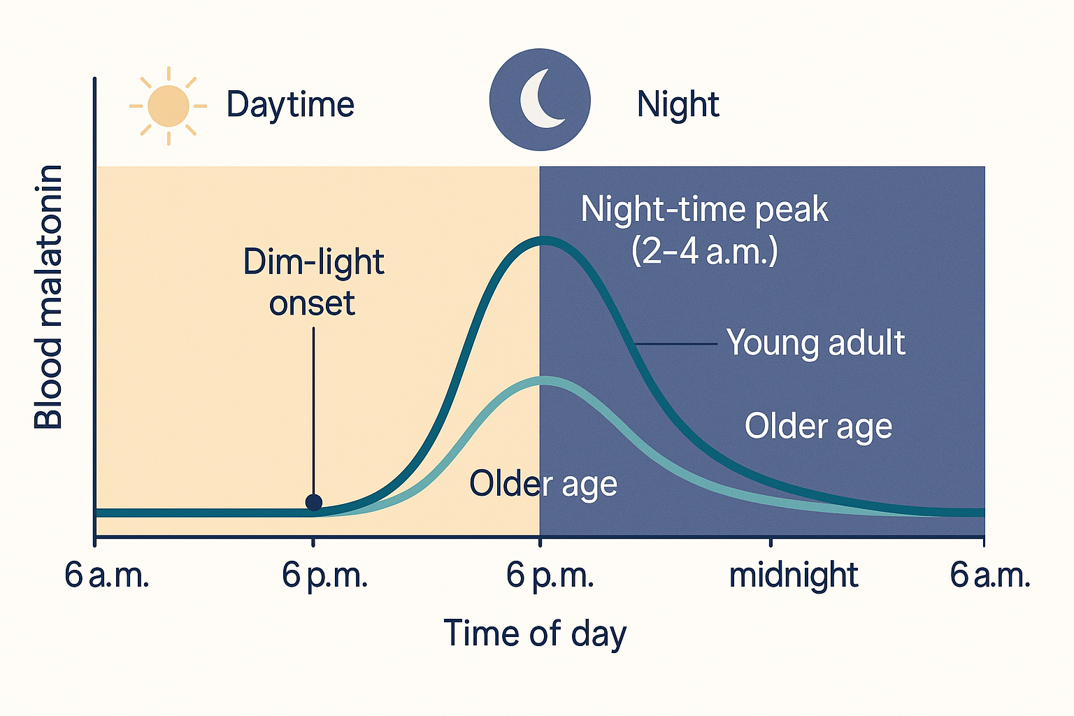 A 24-hour clock-face graph plotting blood melatonin against time of day on a day/night background: a flat near-zero line through daylight hours, a rising curve beginning at dusk, a tall peak around 2 to 4 a.m. over the dark portion, and a fall back to baseline at dawn, with a faded lower curve labelled showing the blunted peak of old age